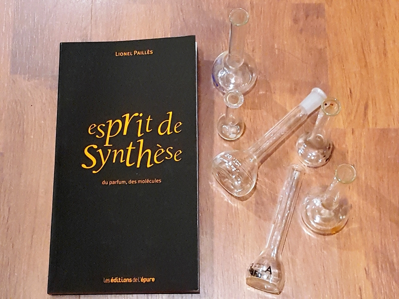 Chronique lecture ❤️: Esprit de synthèse de Lionel&nbsp;Paillès