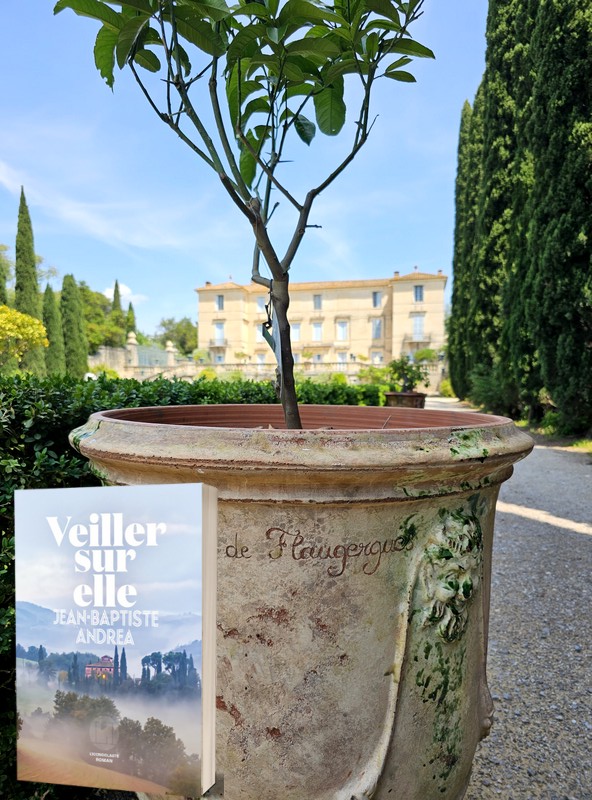 Chronique lecture ❤️: Veiller sur elle, de Jean-Baptiste&nbsp;Andrea