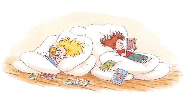 Chronique lecture ❤️: Pico Bogue, BD de Dominique Roques et Alexis&nbsp;Dormal