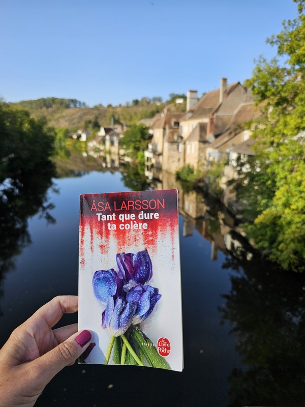 Chronique lecture ❤️: Tant que dure ta colère de Asa&nbsp;Larsson