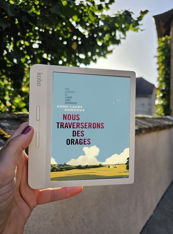 Chronique lecture ❤️: Nous traverserons des orages de Anne-Laure&nbsp;Bondoux