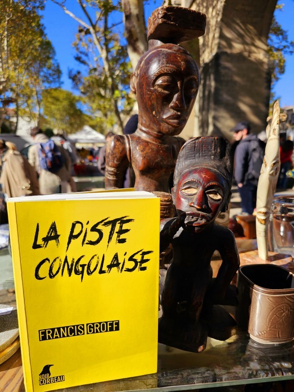 Chronique lecture ❤️: La piste congolaise de Francis&nbsp;Groff