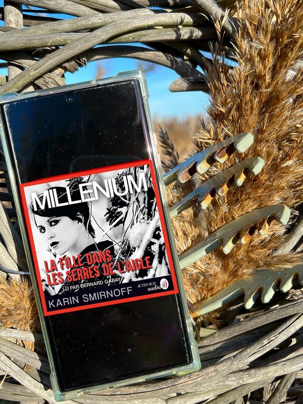 Chronique lecture : Millenium 7 de Karin&nbsp;Smirnoff