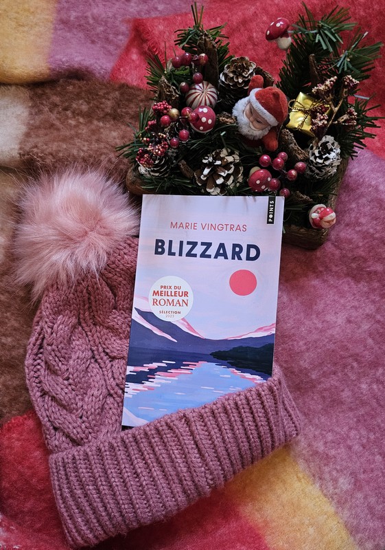 Chronique lecture ❤️: Blizzard de Marie&nbsp;Vingtras