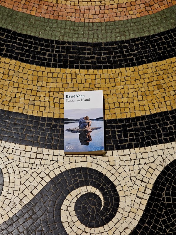 Chronique lecture ❤️: Sukkwan island de David&nbsp;Vann
