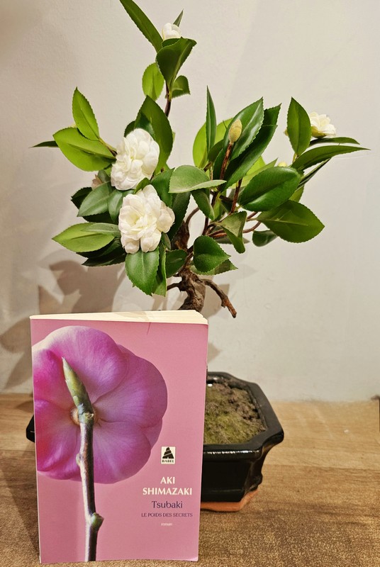 Chronique lecture 🤔: Tsubaki, le poids des secrets 1 de Aki&nbsp;Shimazaki