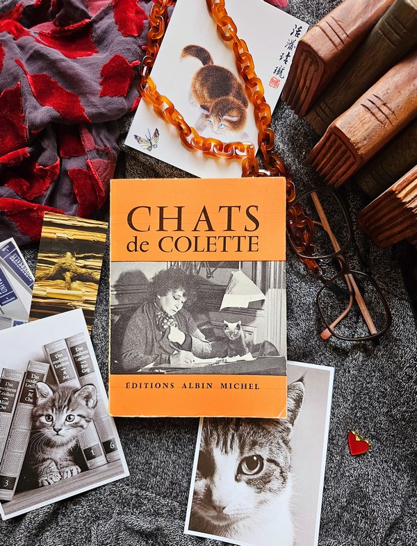 Chronique lecture ❤️: Chats de&nbsp;Colette