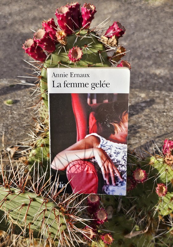 Chronique lecture ❤️: La femme gelée de Annie&nbsp;Ernaux