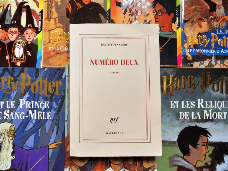 Chronique lecture ❤️: Numéro deux de David&nbsp;Foenkinos