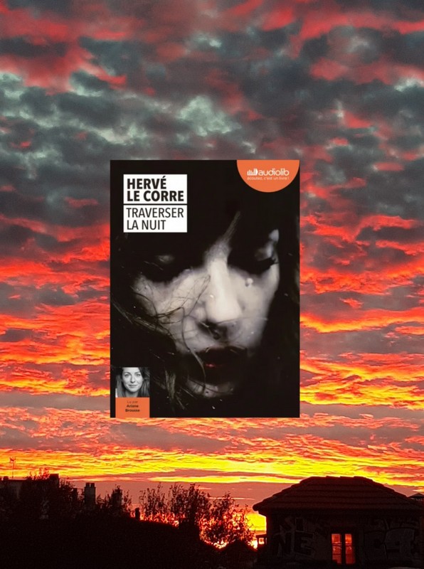 Chronique lecture 🤔: Traverser la nuit de Hervé Le&nbsp;Corre