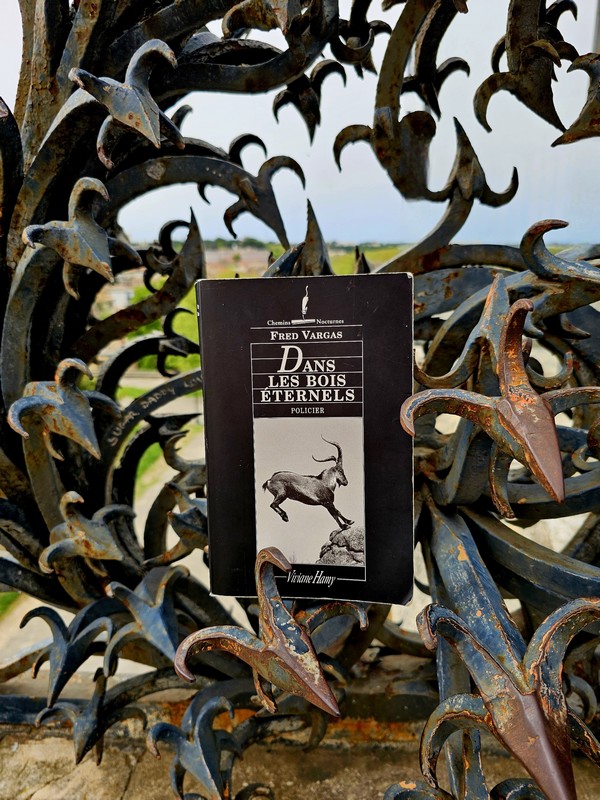 Chronique lecture ❤️: Dans les bois éternels de Fred&nbsp;Vargas
