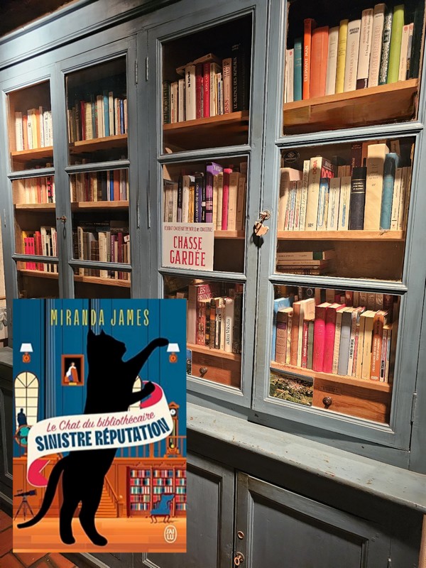 Chronique lecture : Sinistre réputation de Miranda&nbsp;James