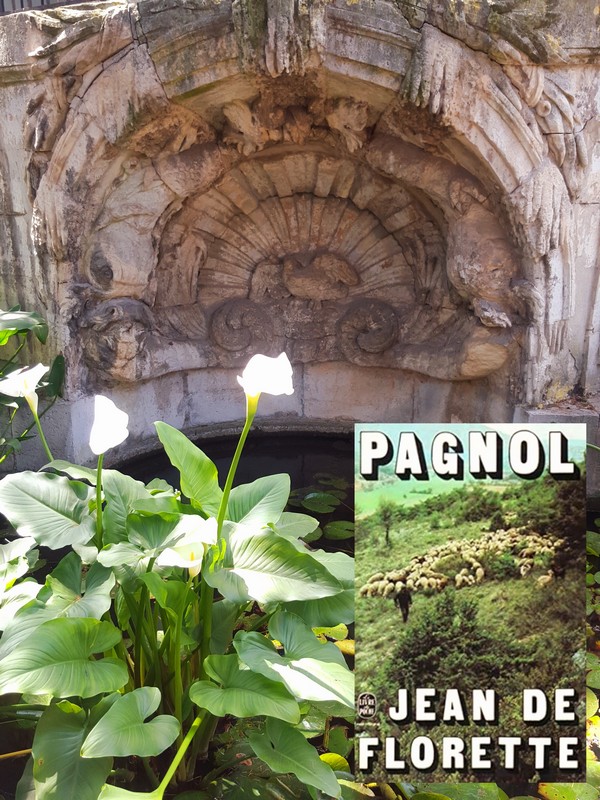 Chronique lecture ❤️: Jean de Florette de Marcel&nbsp;Pagnol