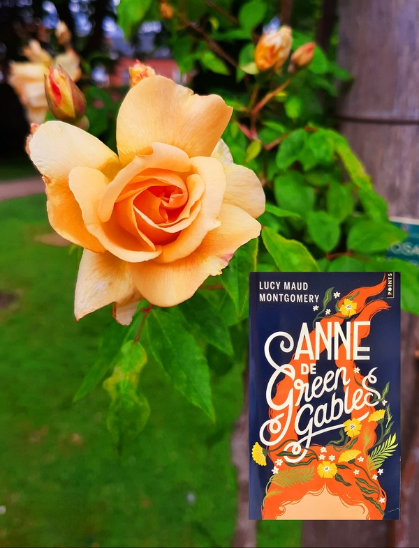 Chronique lecture ❤️: Anne de Green Gables de Lucy Maud&nbsp;Montgomery