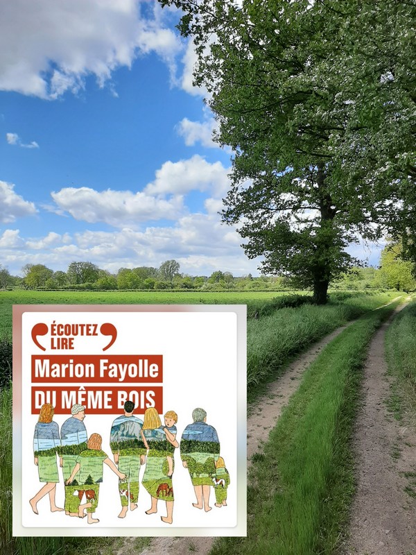 Chronique lecture ❤️: Du même bois de Marion&nbsp;Fayolle