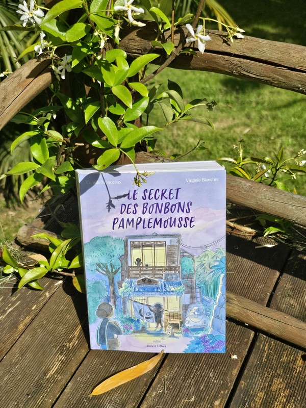 Chronique lecture ❤️: Le secret des  bonbons pamplemousse de Camille Monceaux et Virginie&nbsp;Blancher