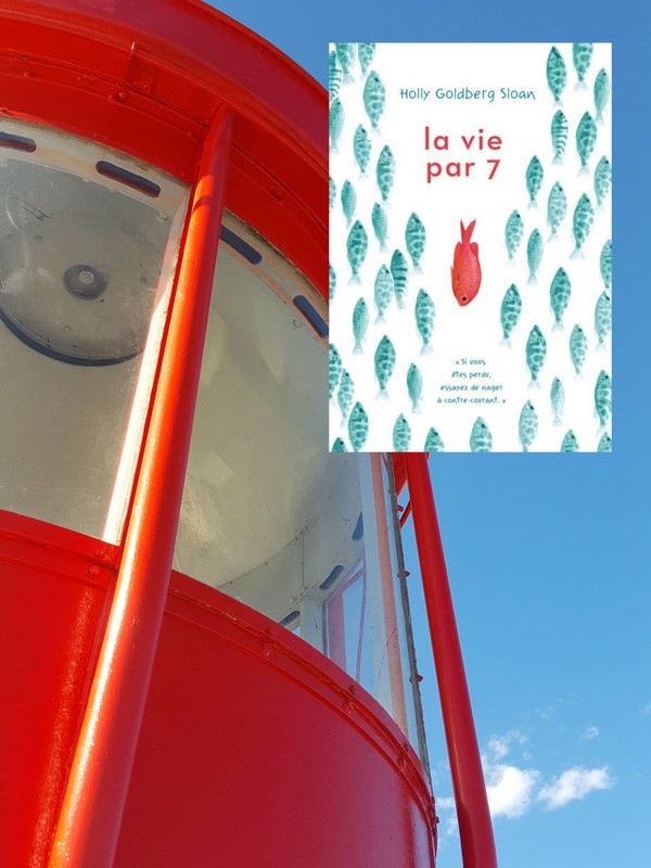 Chronique lecture ❤️: La vie par 7 de Holly Goldberg&nbsp;Sloan