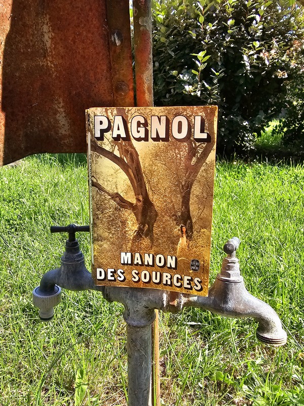Chronique lecture ❤️: Manon des sources de Marcel&nbsp;Pagnol