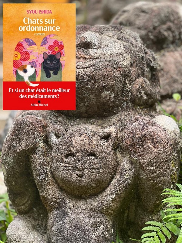 Chronique lecture 🤔: Chats sur ordonnance de Syou&nbsp;Ishida