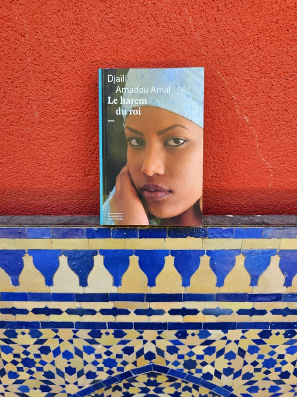 Chronique lecture : Le harem du roi de Djaïli Amadou&nbsp;Amal