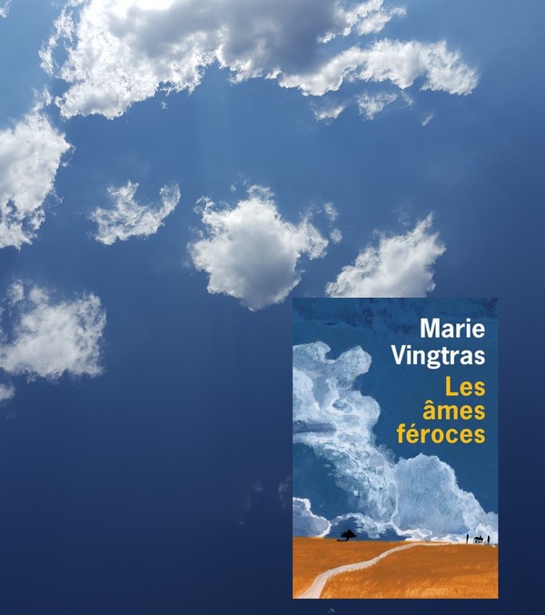 Chronique lecture 🤔 : Les âmes féroces de Marie&nbsp;Vingtras
