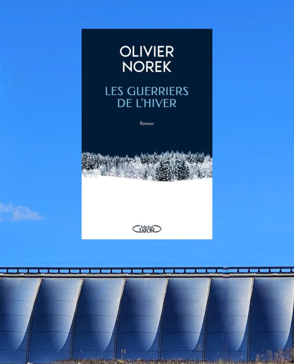 Chronique lecture : Les guerriers de l&rsquo;hiver de Olivier&nbsp;Norek