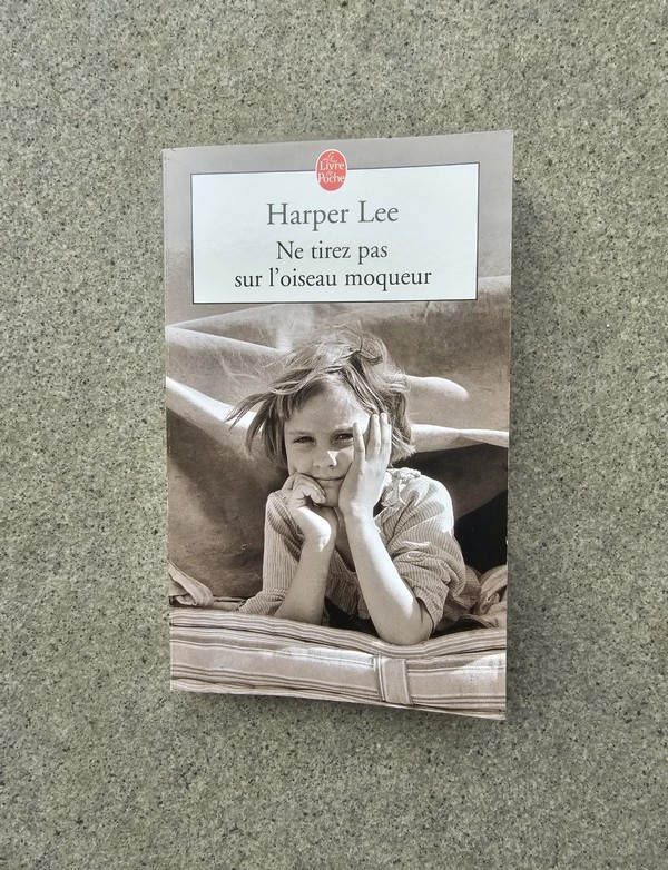 Chronique lecture ❤️: Ne tirez pas sur l&rsquo;oiseau moqueur de Harper&nbsp;Lee