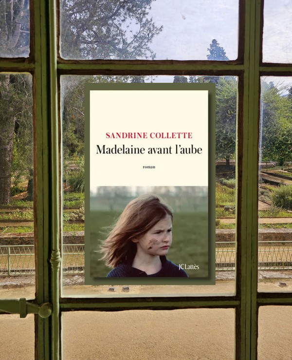 Chronique lecture ❤️: Madelaine avant l&rsquo;aube de Sandrine&nbsp;Collette