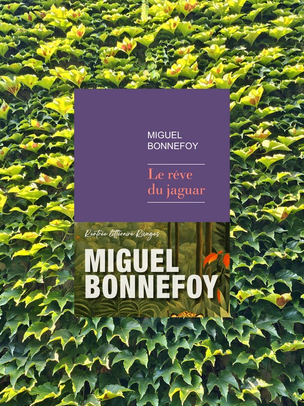 Chronique lecture ❤️: Le rêve du jaguar de Miguel&nbsp;Bonnefoy