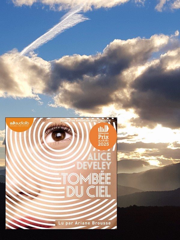 Chronique lecture : Tombée du ciel de Alice&nbsp;Develey