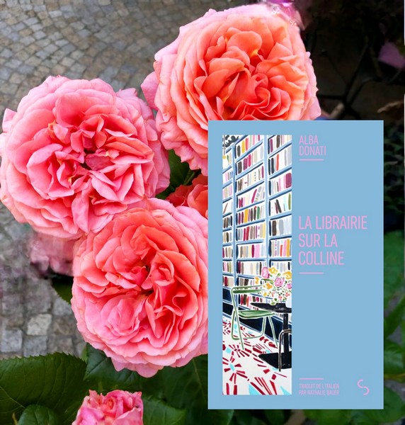 Chronique lecture ❤️: La librairie sur la colline de Alba&nbsp;Donati