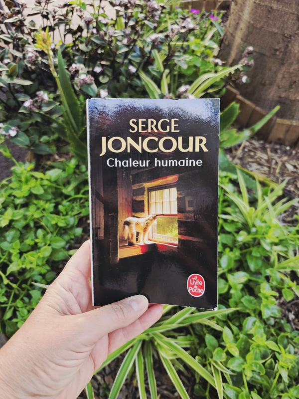 Chronique lecture : Chaleur humaine de Serge&nbsp;Joncour