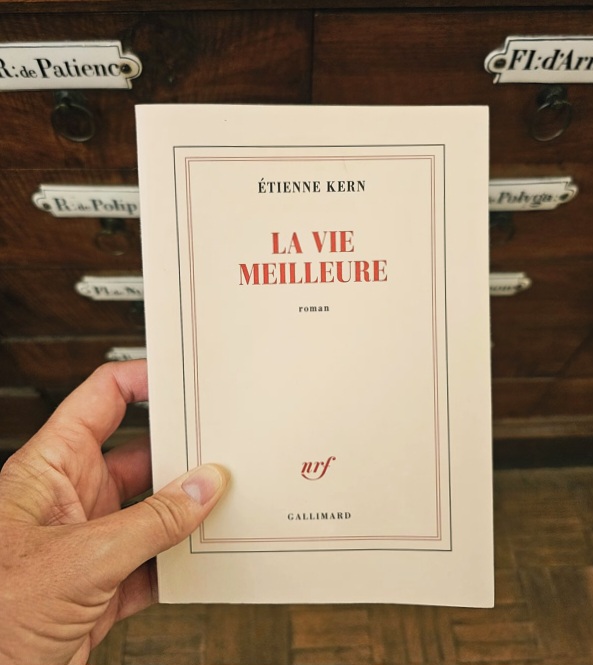 Chronique lecture : La vie meilleure de Étienne&nbsp;Kern