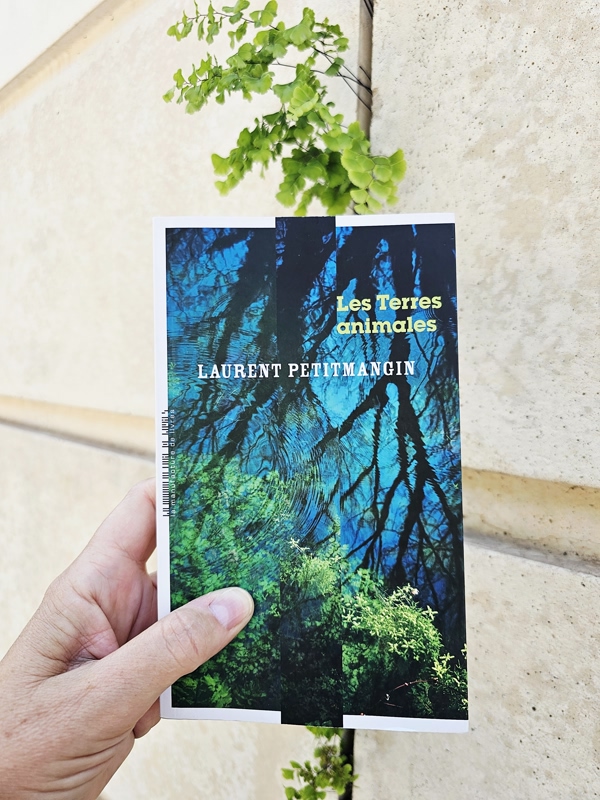 Chronique lecture : Les terres animales de Laurent&nbsp;Petitmangin