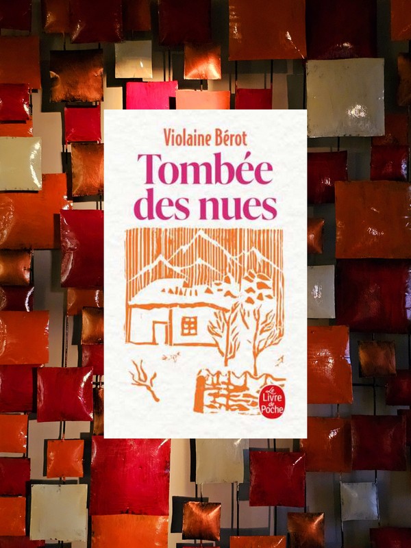 Grâce à une rencontre : Tombée des nues de Violaine Bérot&nbsp;❤️